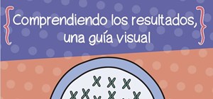 Comprendiendo los resultados, una guía